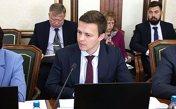 Заседание Комитета Совета Федерации по международным делам