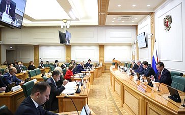 Заседание Комитета Совета Федерации по бюджету и финансовым рынкам