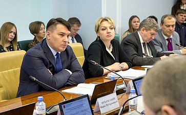 Заседание Комитета СФ по международным делам