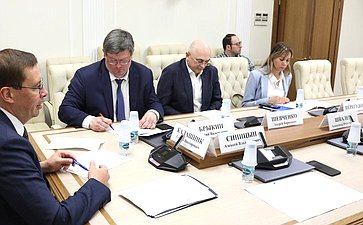 Круглый стол Комитета СФ по экономической политике на тему «Перспективы и проблемы роботизации производственных процессов»
