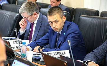 Заседание Комитета Совета Федерации по федеративному устройству, региональной политике, местному самоуправлению и делам Севера