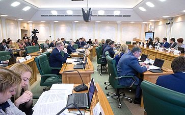 Расширенное заседание Комитета СФ по бюджету и финансовым рынкам