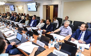 Совещание Комитета СФ по Регламенту и организации парламентской деятельности «Реабилитация участников СВО, медицинские технологии – IT и ИИ решения»
