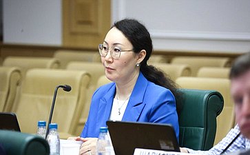 Совещание Комитета Совета Федерации по федеративному устройству, региональной политике, МСУ и делам Северана тему «Газификация и ее производные: газохимия и нефтехимия как драйвер роста экономики Дальневосточного федерального округа»