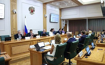 Заседание Комитета Совета Федерации по бюджету и финансовым рынкам
