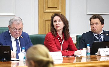 Расширенное заседание Комитета Совета Федерации по бюджету и финансовым рынкам