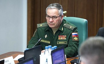 Заседание Комитета Совета Федерации по социальной политике