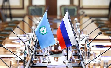 Встреча председателя Комитета Совета Федерации по международным делам Григория Карасина с Председателем Парламента стран Латинской Америки и Карибского бассейна Роландо Мигелем Гонсалесом Патрисио