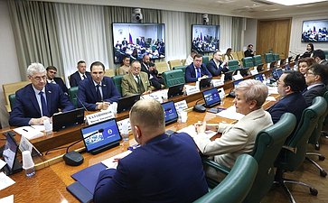 Парламентские слушания Комитета СФ по экономической политике «Комплексное развитие потребительского рынка. Органический рост всех торговых форматов»