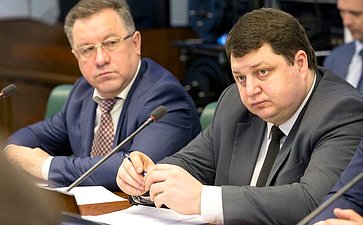 Заседание Комитета СФ по социальной политике с участием представителей власти Архангельской области