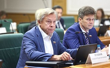Заседание Комитета Совета Федерации по конституционному законодательству и государственному строительству