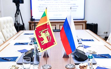 Встреча первого заместителя председателя Комитета СФ по международным делам Андрея Денисова с Министром транспорта, городского развития и по вопросам автомагистралей Шри-Ланки Бималом Нирошаном Ратнаяке Виракуном