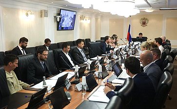 Заседание секции «Обеспечения технологического суверенитета и информационной безопасности РФ» Совета по развитию цифровой экономики при СФ