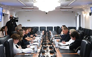 Круглый стол Комитета СФ по социальной политике на тему «Вопросы профессиональной самореализации молодых граждан России: современные вызовы и перспективы»