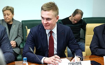 Круглый стол Комитета Совета Федерации по федеративному устройству, региональной политике, МСУ и делам Севера на тему «Актуальные проблемы развития сегмента строительства малоэтажных жилых комплексов»