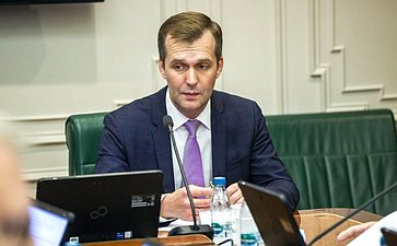 Заседание Комитета Совета Федерации по международным делам