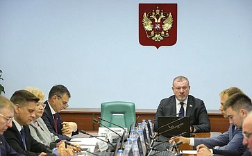Расширенное заседание Комитета СФ по социальной политике (в рамках Дней Омской области)