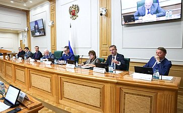 Заседание Комитета Совета Федерации по конституционному законодательству и государственному строительству