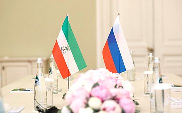Валентина Матвиенко провела встречу с Председателем Сената Парламента Республики Экваториальная Гвинея Марией Тересой Эфуа Асангоно