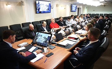 Заседание секции «Обеспечения технологического суверенитета и информационной безопасности РФ» Совета по развитию цифровой экономики при СФ