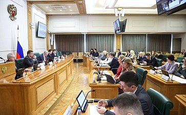 Заседание Комитета Совета Федерации по бюджету и финансовым рынкам