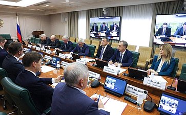 Круглый стол Комитета Совета Федерации по экономической политике «О мерах по увеличению протяженности приведенных в нормативное состояние мостов и путепроводов»