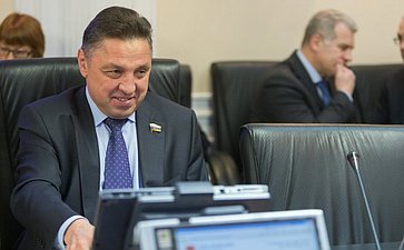 Заседание Комитета СФ по регламенту и парламентской деятельности Тимченко