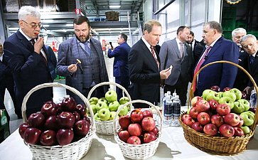 Члены Комитета СФ посетили сельскохозяйственные предприятия –тепличный комплекс и компанию, специализирующуюся на выращивании яблок