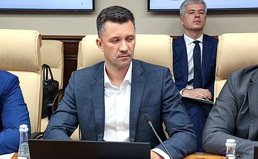Заседание секции «Цифровые регионы: лучшие практики и стратегии развития» (фото пресс-служба Совета Федерации)