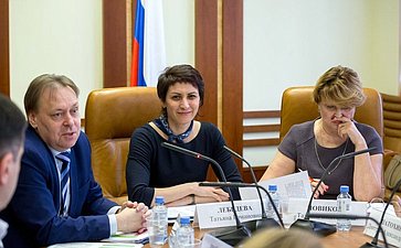 Заседание рабочей группы по подготовке предложений законодательного регулирования вопросов о молодежи и государственной молодежной политике в РФ