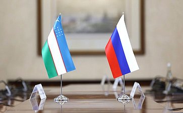 Встреча Председателя Совета Федерации Валентины Матвиенко с Помощником Президента Республики Узбекистан Саидой Мирзиёевой