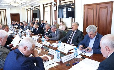 Заседание Комитета Совета Федерации по обороне и безопасности