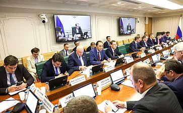 Заседание Комитета Совета Федерации по экономической политике