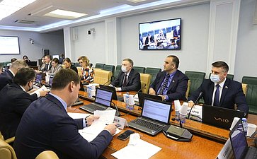 Заседание Комитета СФ по социальной политике