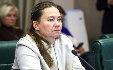 Расширенное заседание Комитета Совета Федерации по экономической политике (в рамках дней Тульской области в Совете Федерации)
