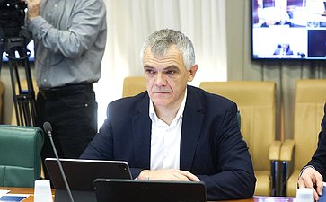 Круглый стол комитета Совета Федерации по экономической политике на тему «Вопросы восстановления и наращивания трансграничных и межрегиональных грузовых и пассажирских перевозок по реке Амур»