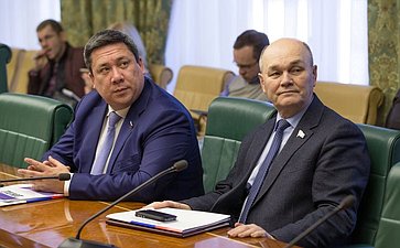 В. Полетаев и М. Щетинин на заседании Временной комиссии СФ по мониторингу экономического развития