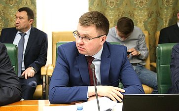 Расширенное заседание Комитета СФ по экономической политике в рамках Дней Челябинской области в СФ