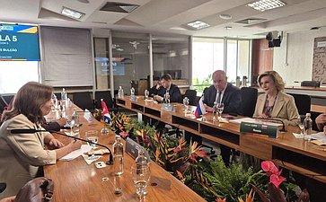 Делегация Совета Федерации принимает участие в 11-м Парламентском форуме БРИКС в Бразилии