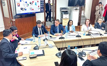 Айрат Гибатдинов и Наталья Кувшинова приняли участие в заседаниях парламентских комиссий в рамках 11-й Всемирной конференции молодых парламентариев МПС