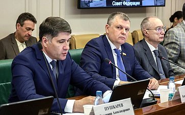 Заседание Комитета Совета Федерации по аграрно-продовольственной политике и природопользованию