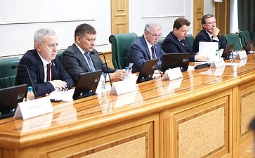 Заседание Комитета Совета Федерации по бюджету и финансовым рынкам