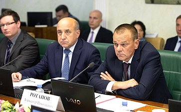 Заседание Комитета СФ по экономической политике с участием представителей органов власти Калининградской области