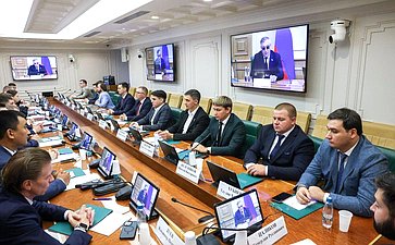 Заседание Палаты молодых законодателей при Совете Федерации