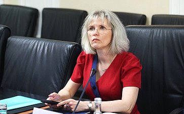 Встреча группы по сотрудничеству Совета Федерации с парламентами стран Латинской Америки и группы дружбы с Россией Палаты сенаторов Национального конгресса Республики Парагвай