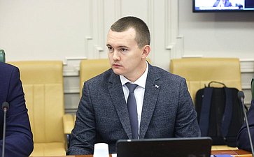 Круглый стол комитета Совета Федерации по экономической политике на тему «Вопросы восстановления и наращивания трансграничных и межрегиональных грузовых и пассажирских перевозок по реке Амур»
