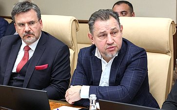 Заседание секции «Цифровые регионы: лучшие практики и стратегии развития» (фото пресс-служба Совета Федерации)