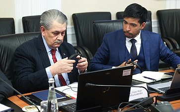 Встреча группы по сотрудничеству Совета Федерации с парламентами стран Латинской Америки и группы дружбы с Россией Палаты сенаторов Национального конгресса Республики Парагвай