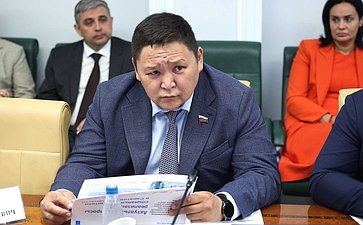 Расширенное заседание Комитета Совета Федерации по социальной политике (в рамках Дней Саратовской области в Совете Федерации)