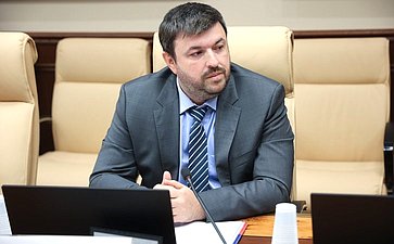 Круглый стол Комитета СФ по конституционному законодательству и государственному строительству «Совершенствование механизмов противодействия незаконному обороту алкогольной продукции: законодательные инициативы и правоприменительная практика»